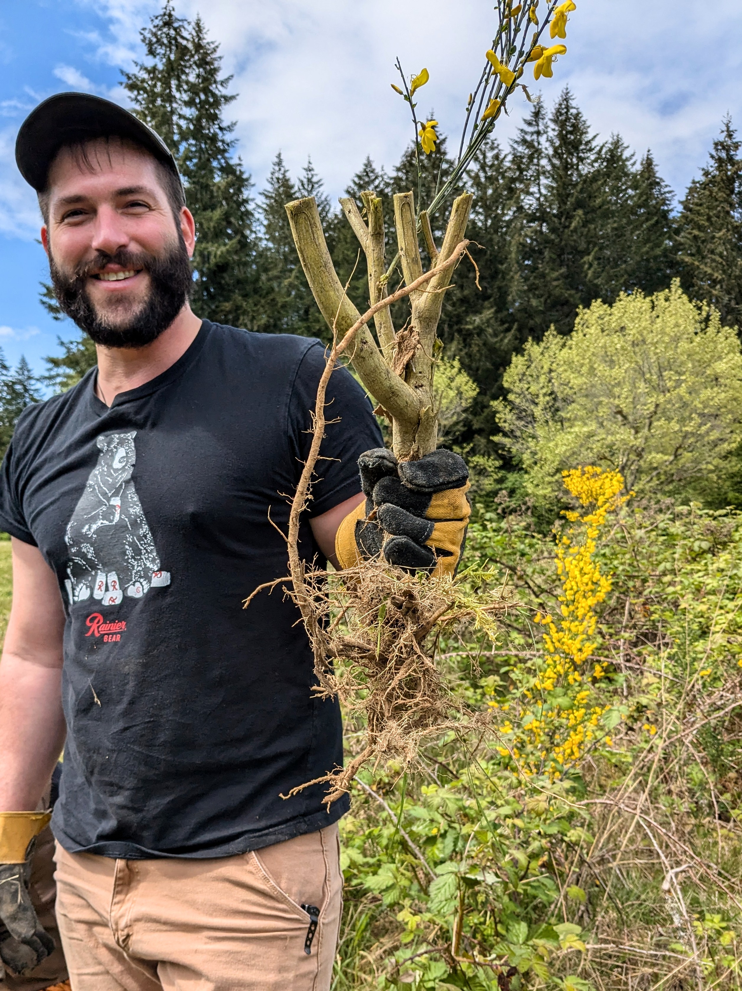 photo of a man with a beard in a ball cap and yellow work gloves smiling while holding the stalk of a plant with yellow flowers in his left hand